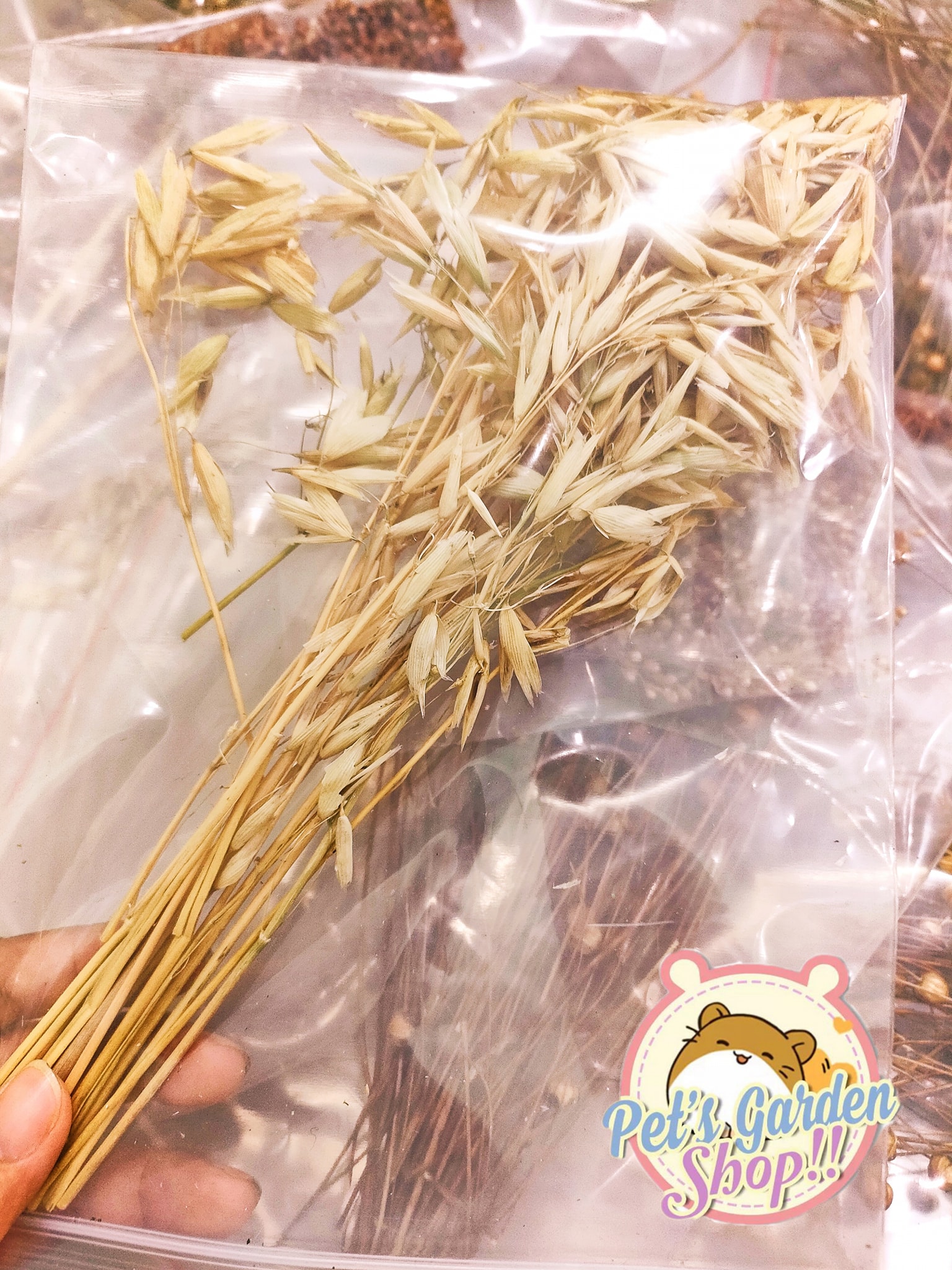 Cành yến mạch - Thức ăn hamster