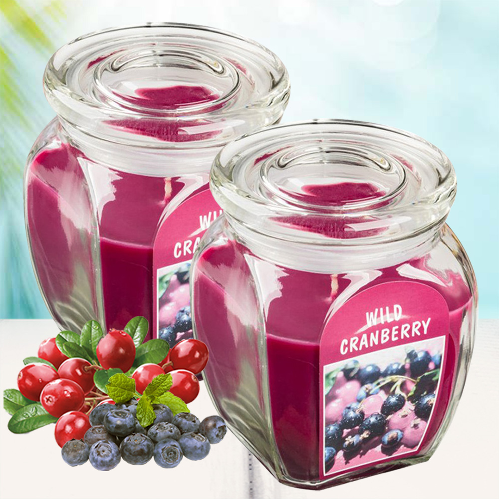 Combo 2 Hũ nến thơm tinh dầu Bolsius Wild Cranberry 305g