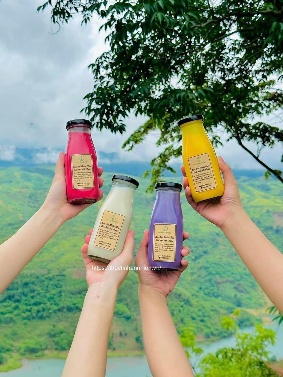 Hũ thủy tinh đựng sữa hạt- sét 10 hũ thủy tinh nắp nhựa 300ml đựng sữa hạt mật ong