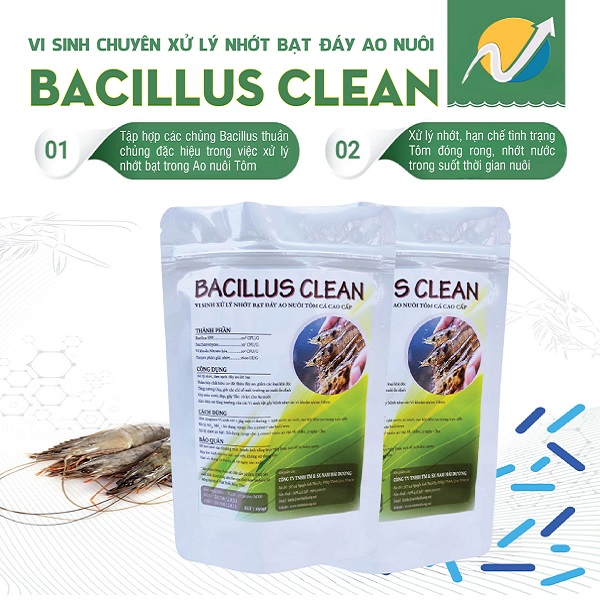 VI SINH XỬ LÝ NHỚT AO BẠT NUÔI TÔM BACILLUS CLEANE - THÙNG 2 TÚI 250GR