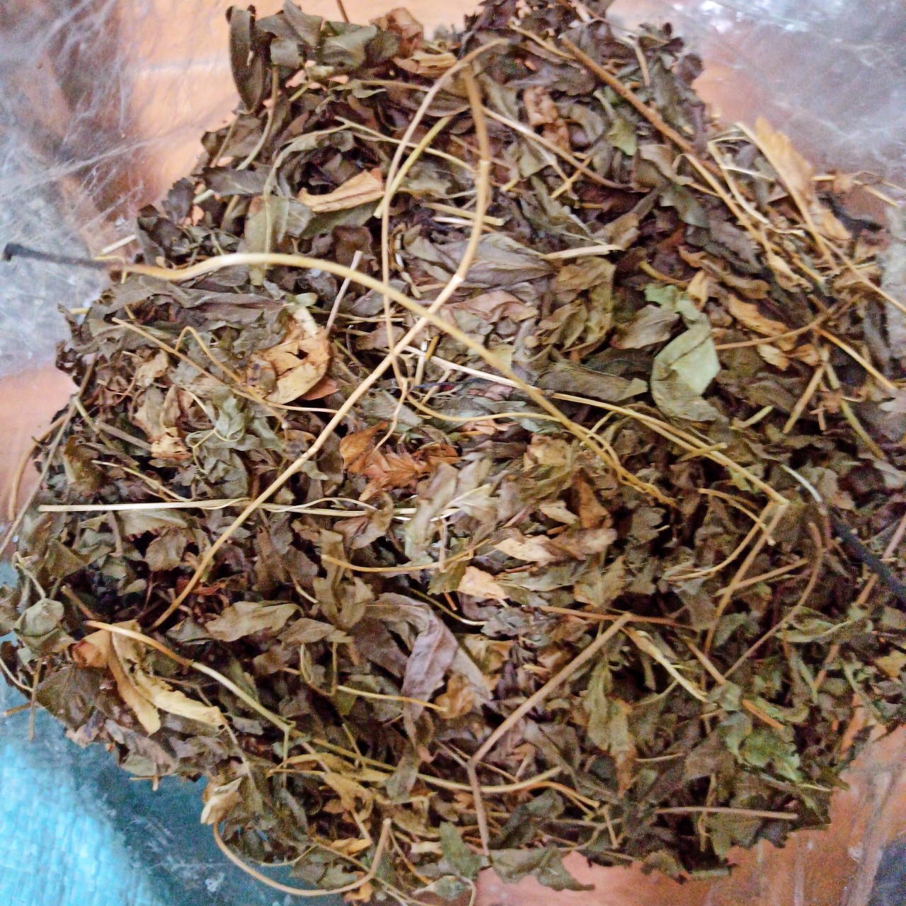 Cây Bòng Bong 1KG - Tốt cho người phù thận - viêm thận