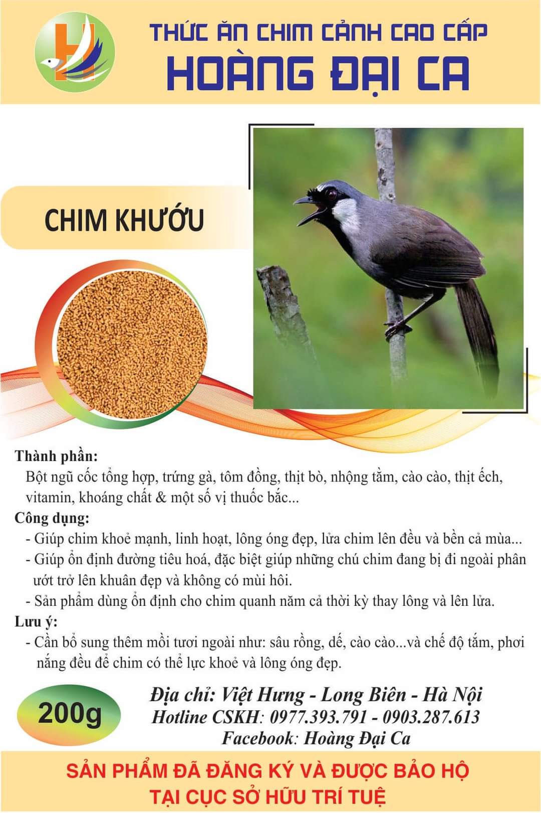 CÁM CHIM KHƯỚU - HOÀNG ĐẠI CA