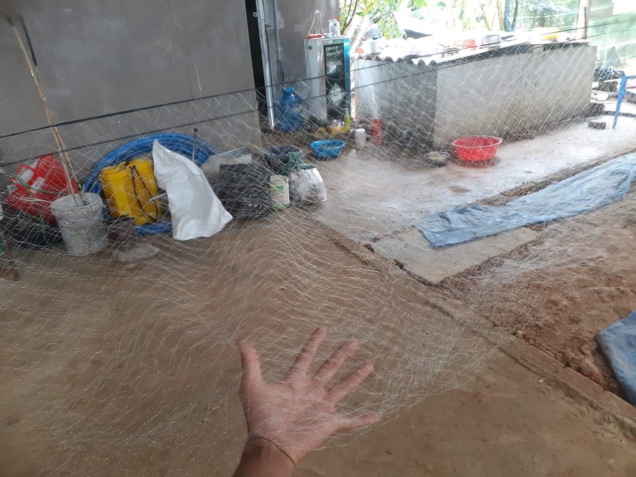 30m lưới đêm mắt 5p cao 6m 4 dây 3 túi sợi 18 bẫy các loại chim đêm như: mắt xéo mắt đỏ .trích ré trích trồ,...lưới cước thái lan tàng hình màu đen