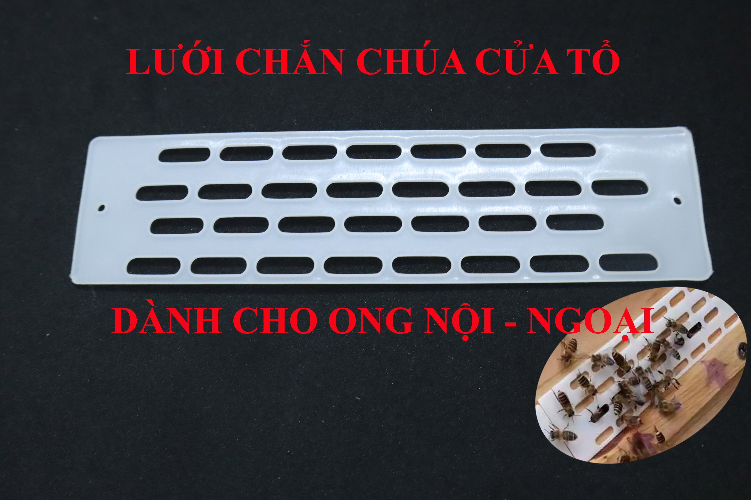5 lưới chắn chúa cửa tổ dùng cho cả ong nội - ong ngoại