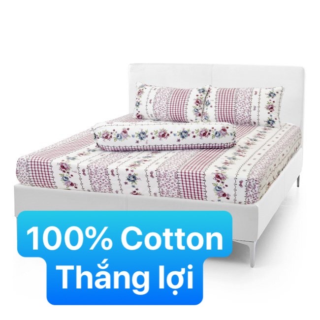 [HCM]Bộ Drap Cotton Thắng Lợi {4 MÓN} đủ size { chuẩn logo]