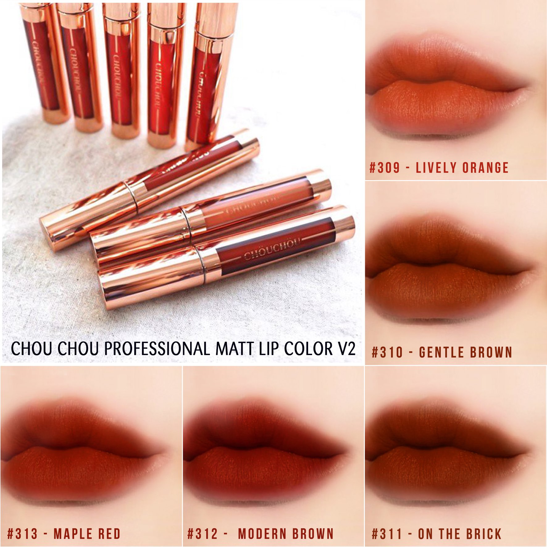 Son Lì Chou Chou Professional Matt Lip Color V2 (5g)