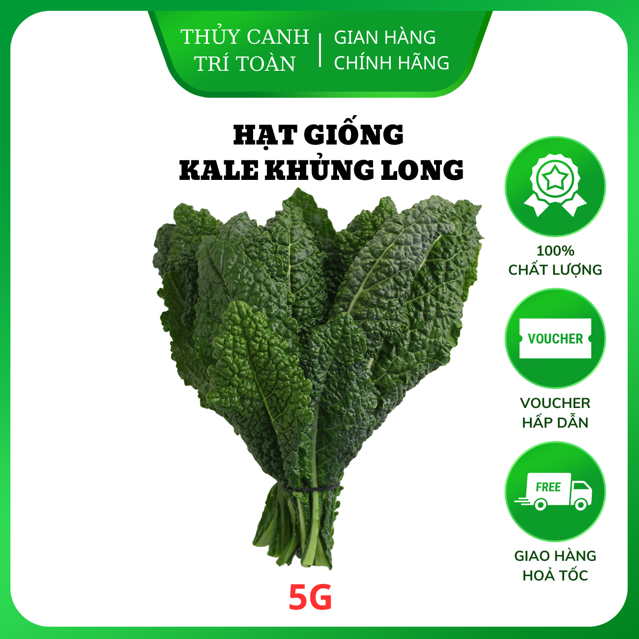 Hạt giống Cải Kale Khủng Long trồng quanh năm - Hạt giống Rạng Đông