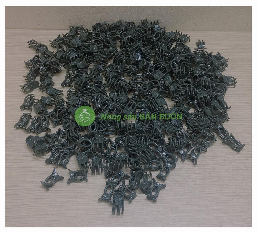 100 kẹp bướm trung - kẹp bướm cỡ trung siêu tốt kẹp lan hồ điệp!