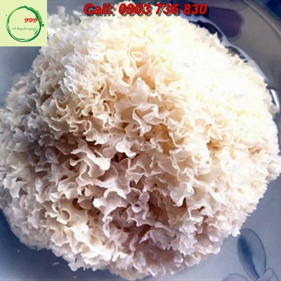 🌺50 gr Nấm tuyết, nấm tuyết nhĩ