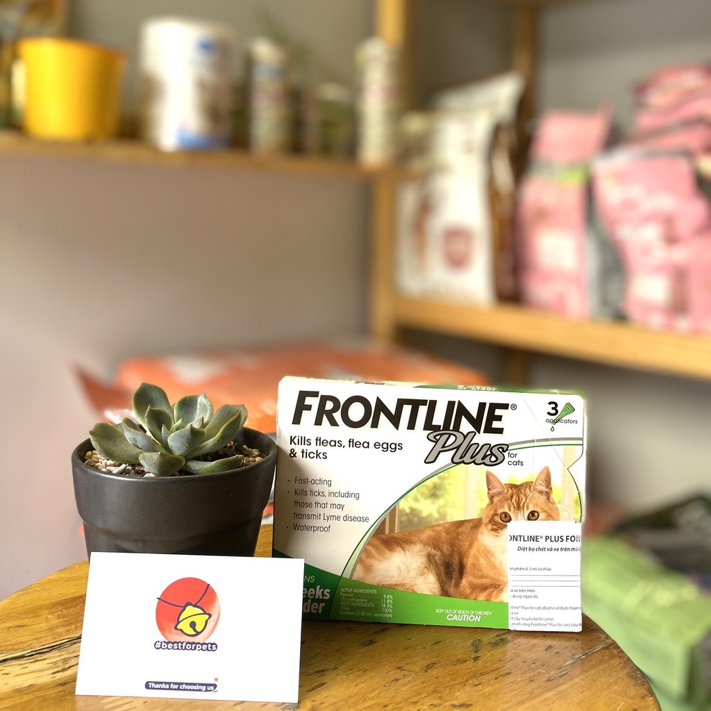 Nhỏ gáy frontline plus cho mèo