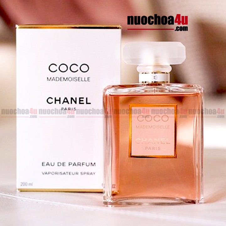 Chanel Coco Mademoiselle Eau de Parfum  Cactus Perfume  Cosmetics