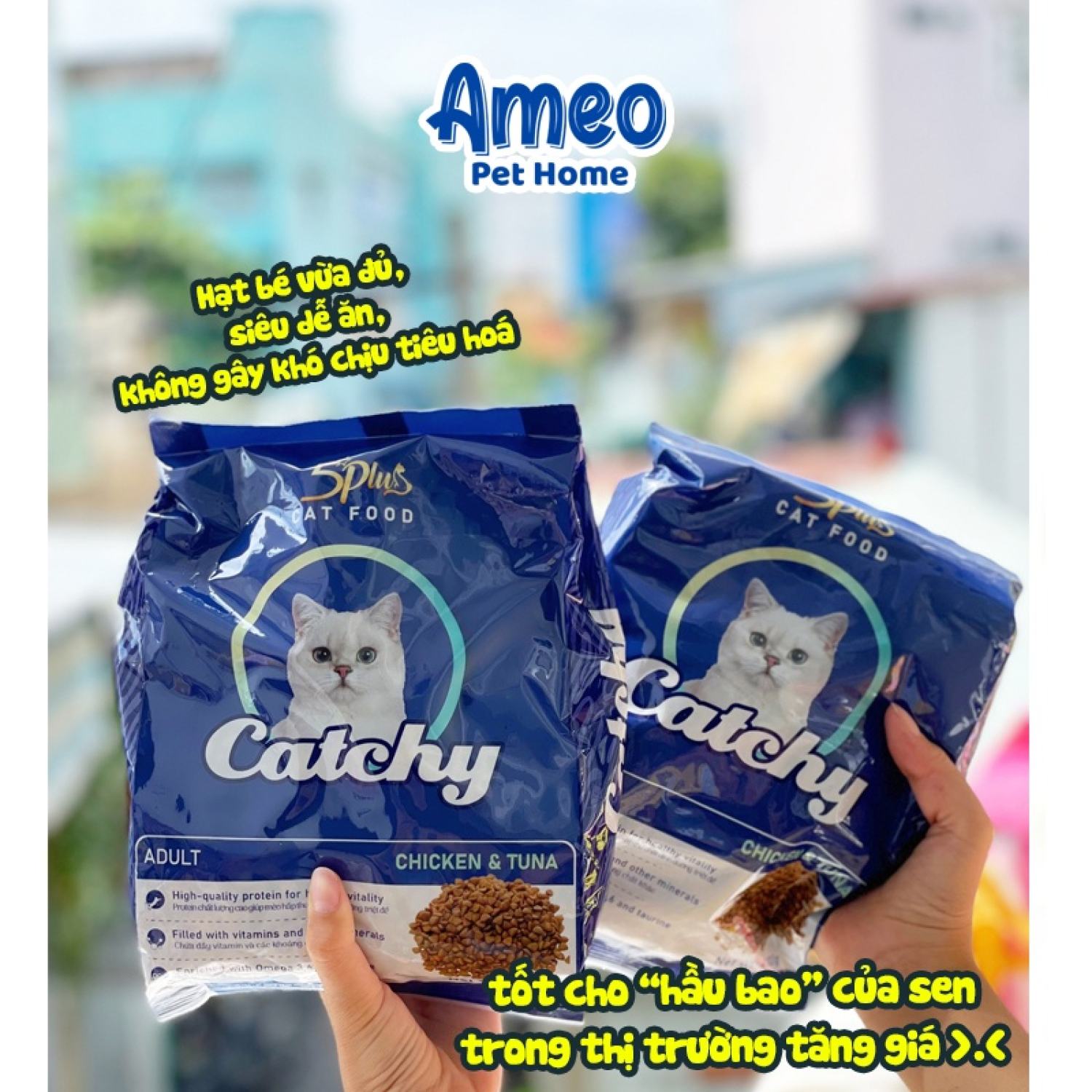 Thức ăn mèo hạt mèo 5plus Catchy vị gà cá ngừ hấp dẫn 400g