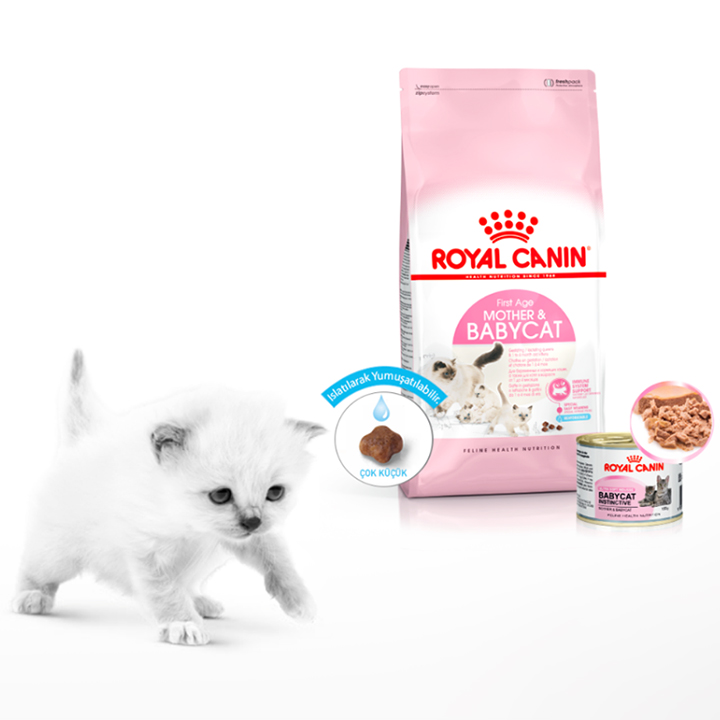 Royal Canin BabyCat 34 400g Thức ăn hạt dành cho mèo con - CutePets