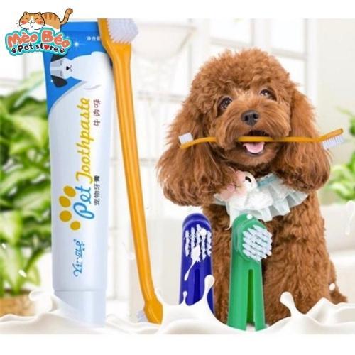 Bộ bàn chải và kem đánh răng cho chó mèo