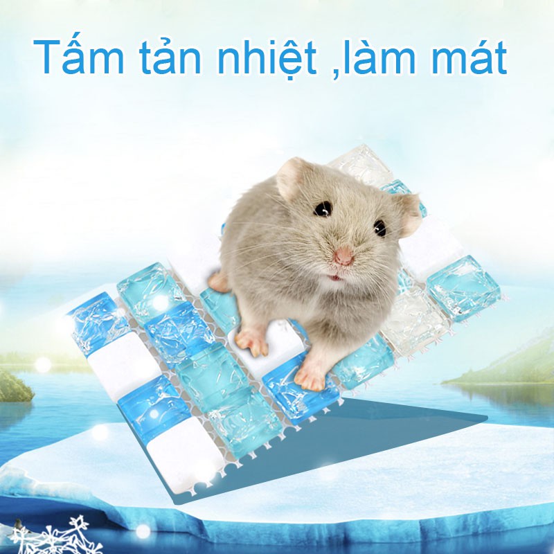 [Hoàn tiền 10%]Đá Làm Mát Tản Nhiệt Mùa Hè Cho Bé Hamster Gunie Pig