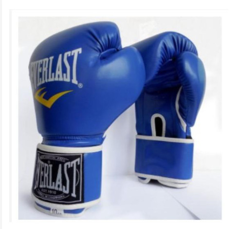 Găng tay boxing chuyên dụng cho dân đấm bốc Everlast màu xanh hàng cam kết đúng mô tả đa dạng mẫu mã sản phẩm màu sắc kích cỡ chất lượng đảm bảo