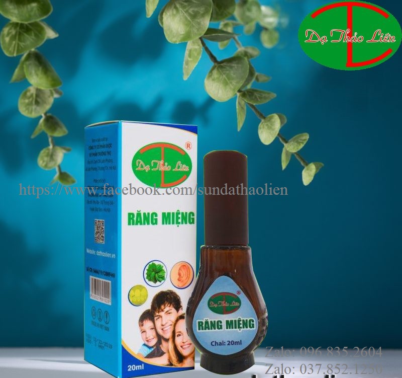 Tinh dầu răng miệng - dạ thảo liên