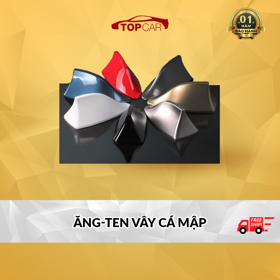 Vây cá mập có ăng ten ô tô xe hơi loại 1