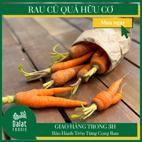 Cà Rốt hữu cơ 300G - [Giao hàng ngay tại TPHCM]