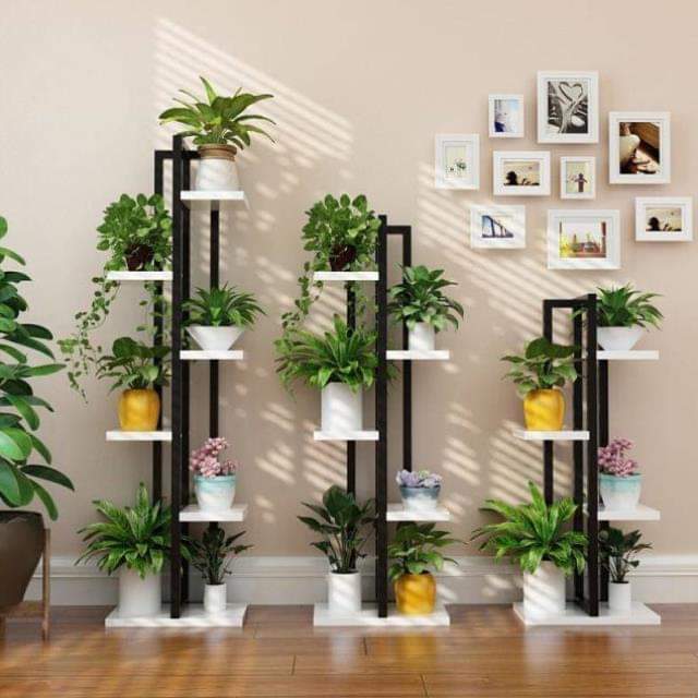 Kệ trang trí tiểu cảnh mini trong nhà