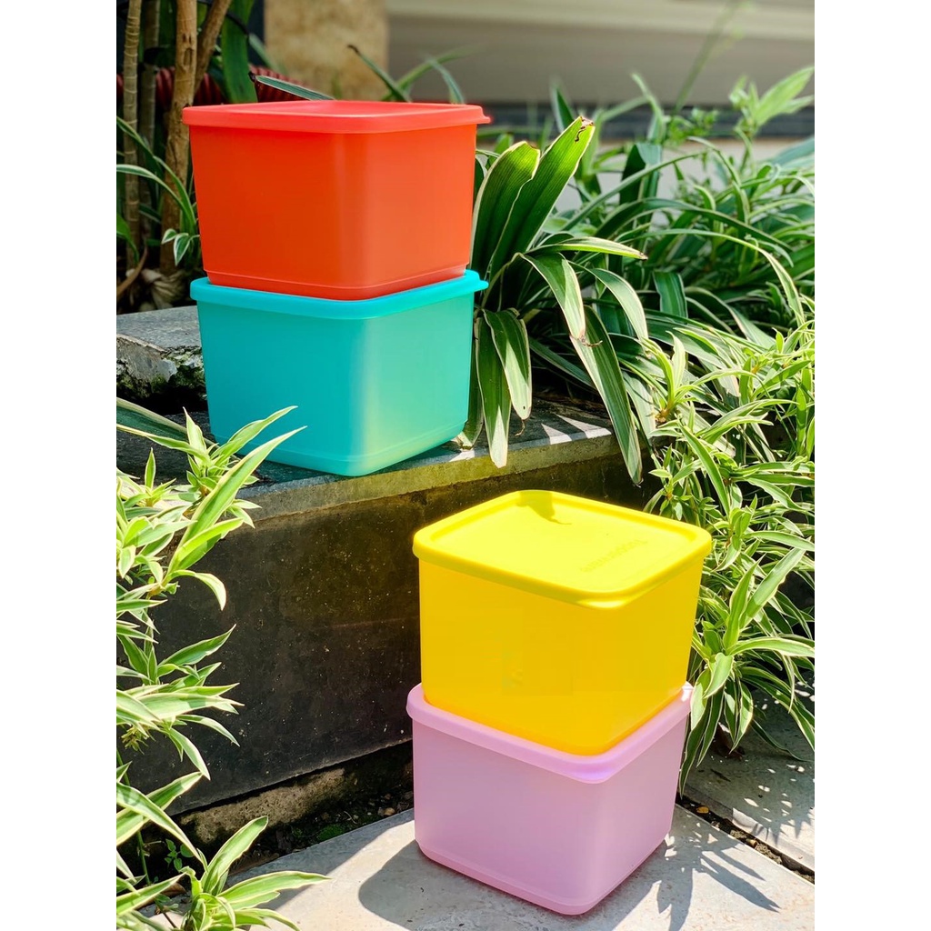 Bộ hộp Medium Square 1L Tupperware