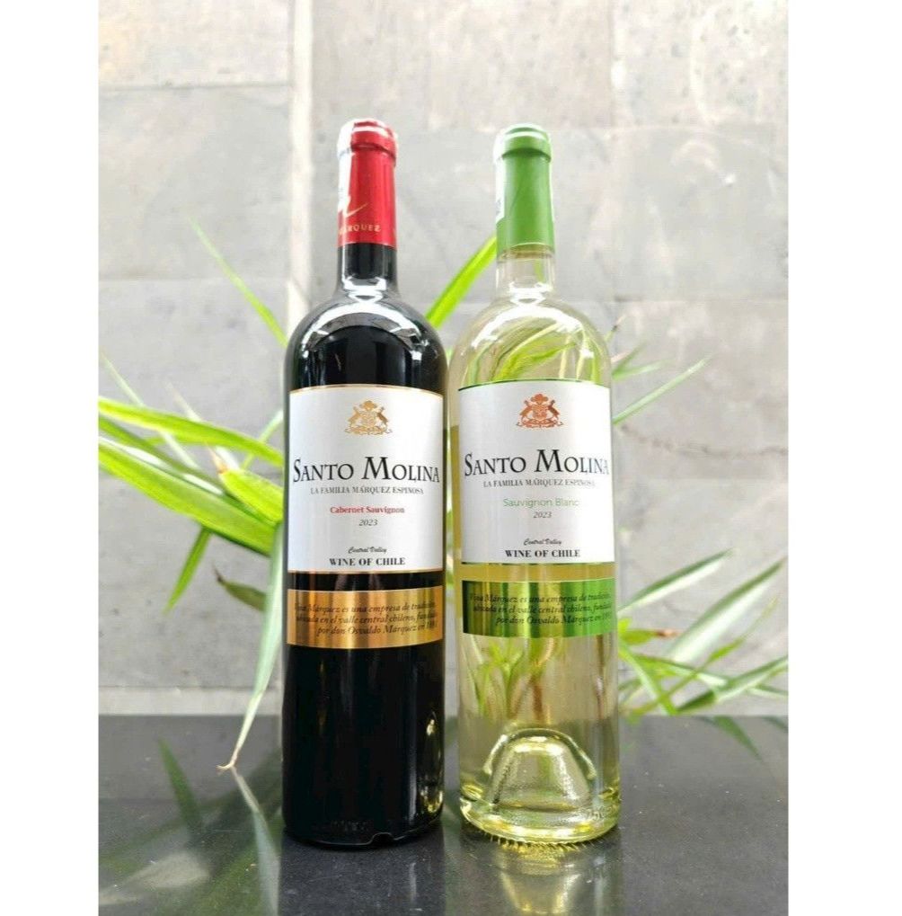 Vang Chile Santo Molina 750 ml chính hãng 750 ml