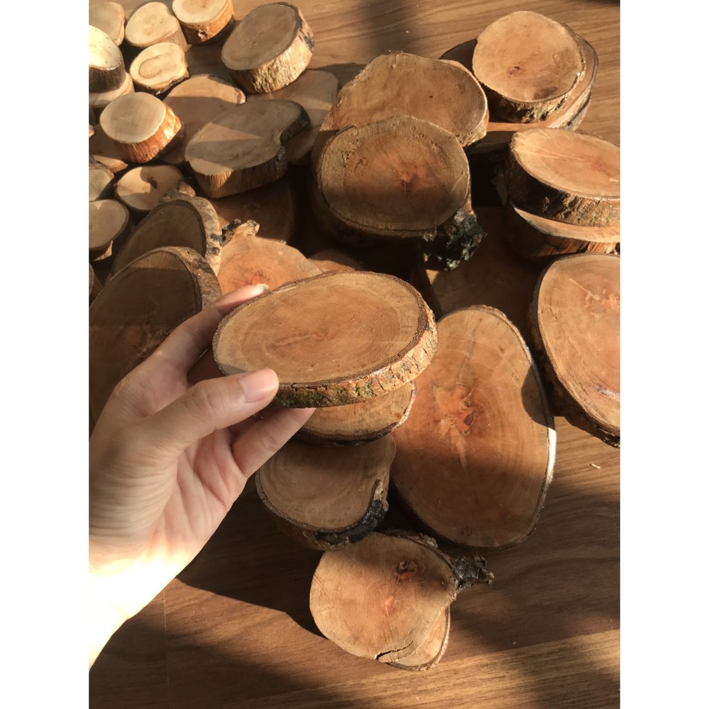 Miếng gỗ decor, gỗ tự nhiên 100%.