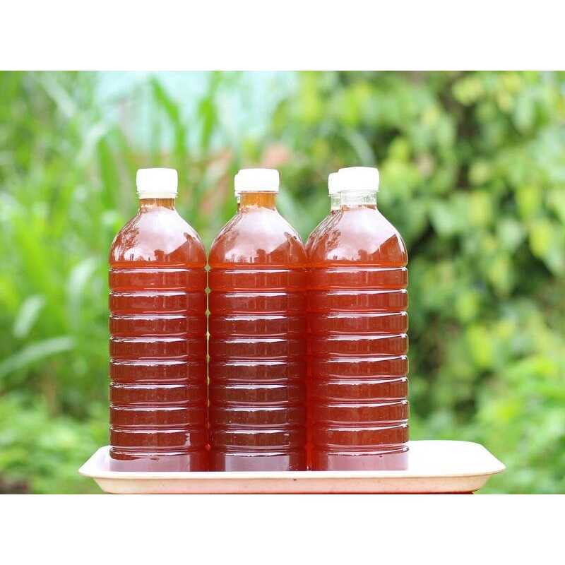 Mật ong hoa cà phê DakLak chai 1lit