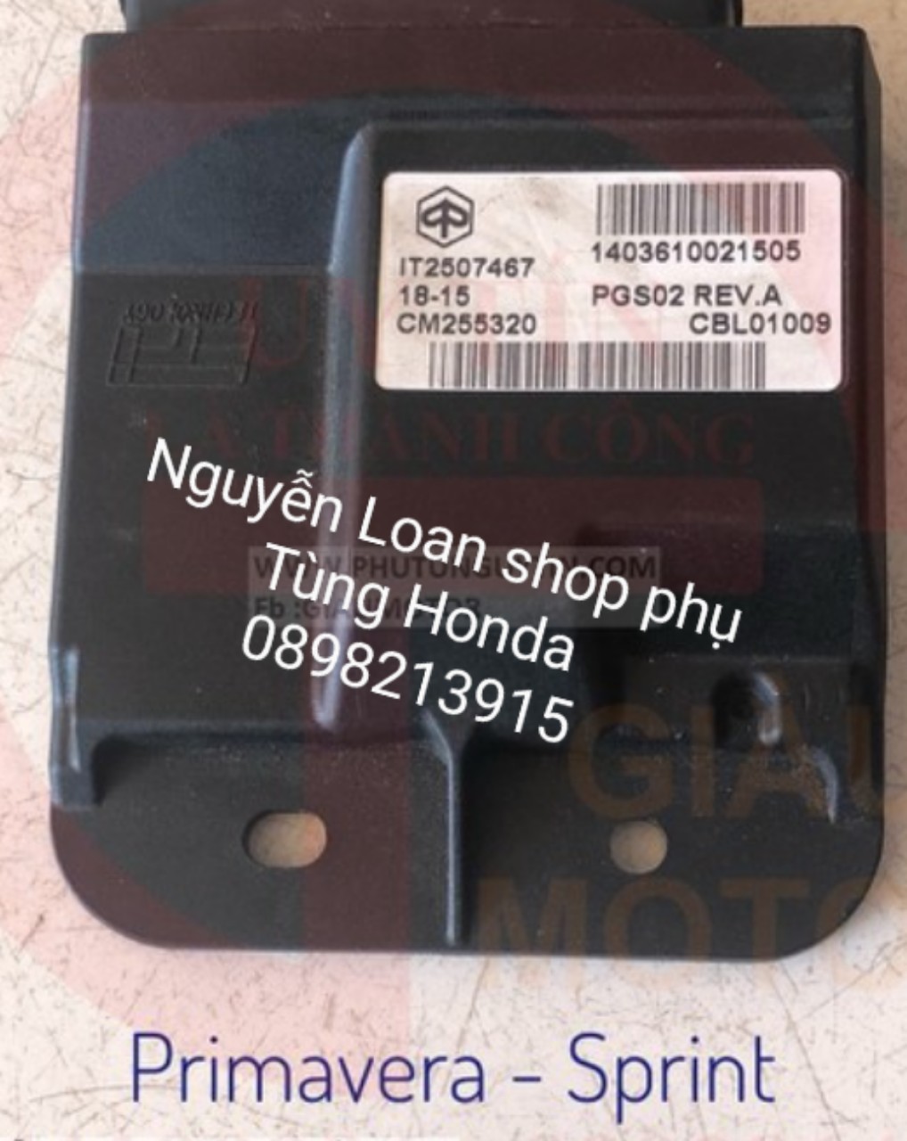 Ic cho xe Vespa Primavera , Sprint