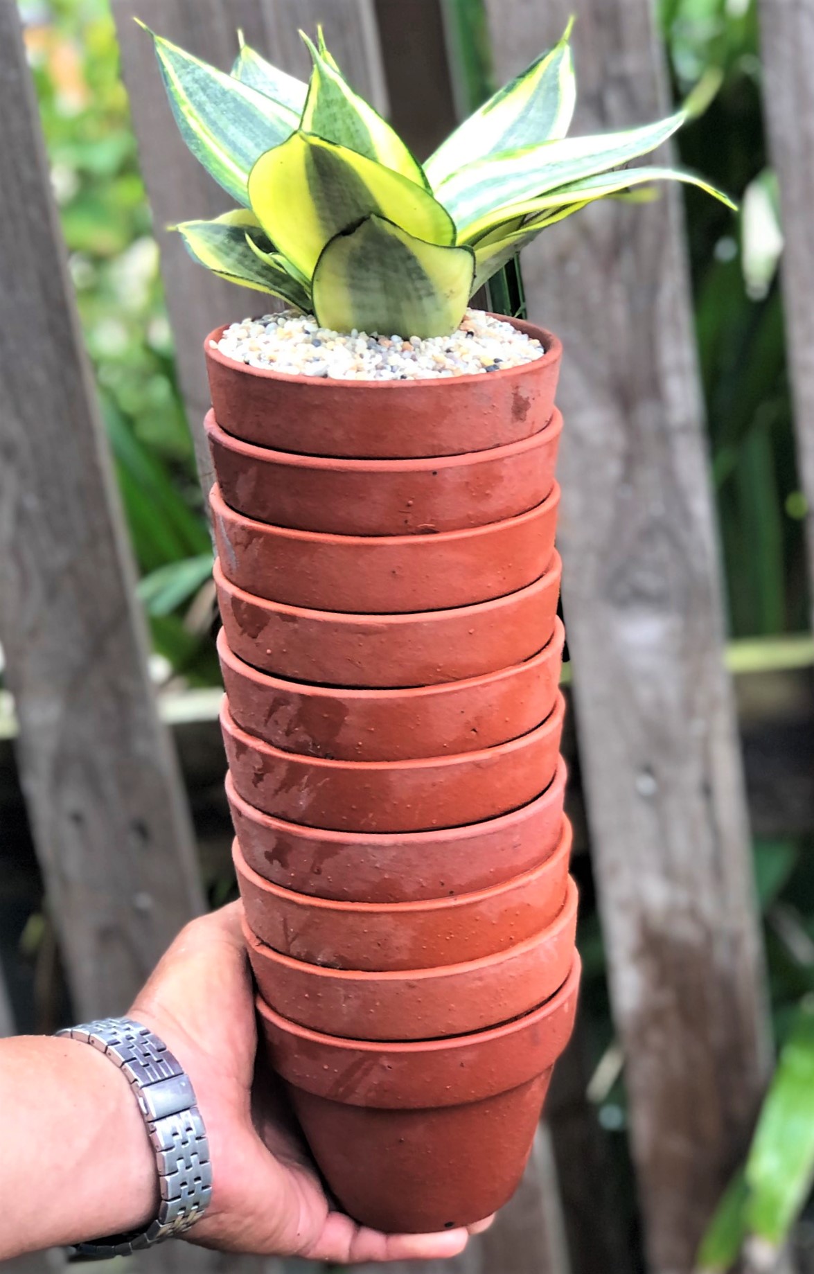 Bộ 10 chậu đất nung trồng lan trồng cây số 4 rộng 11 cm x cao 8 cm