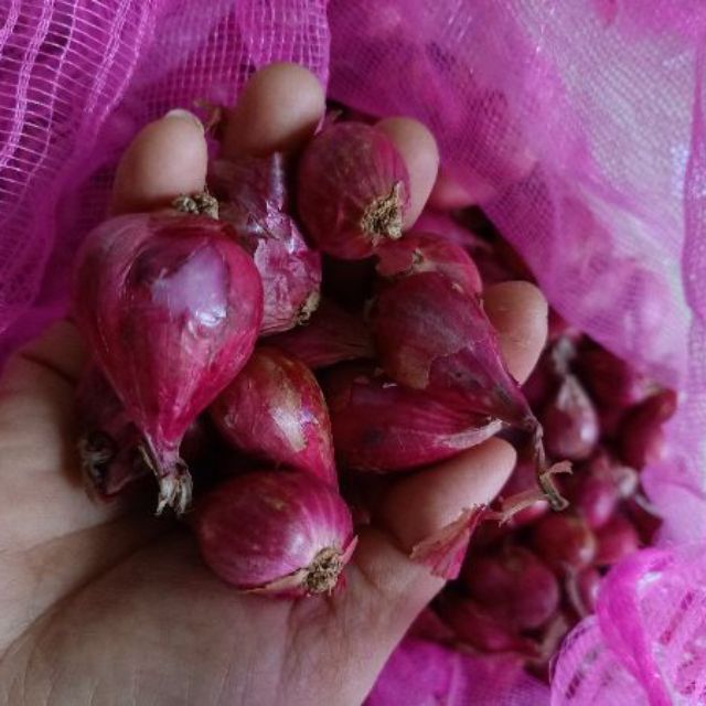 Hành củ tím chuẩn vị hành tại Huế 1kg