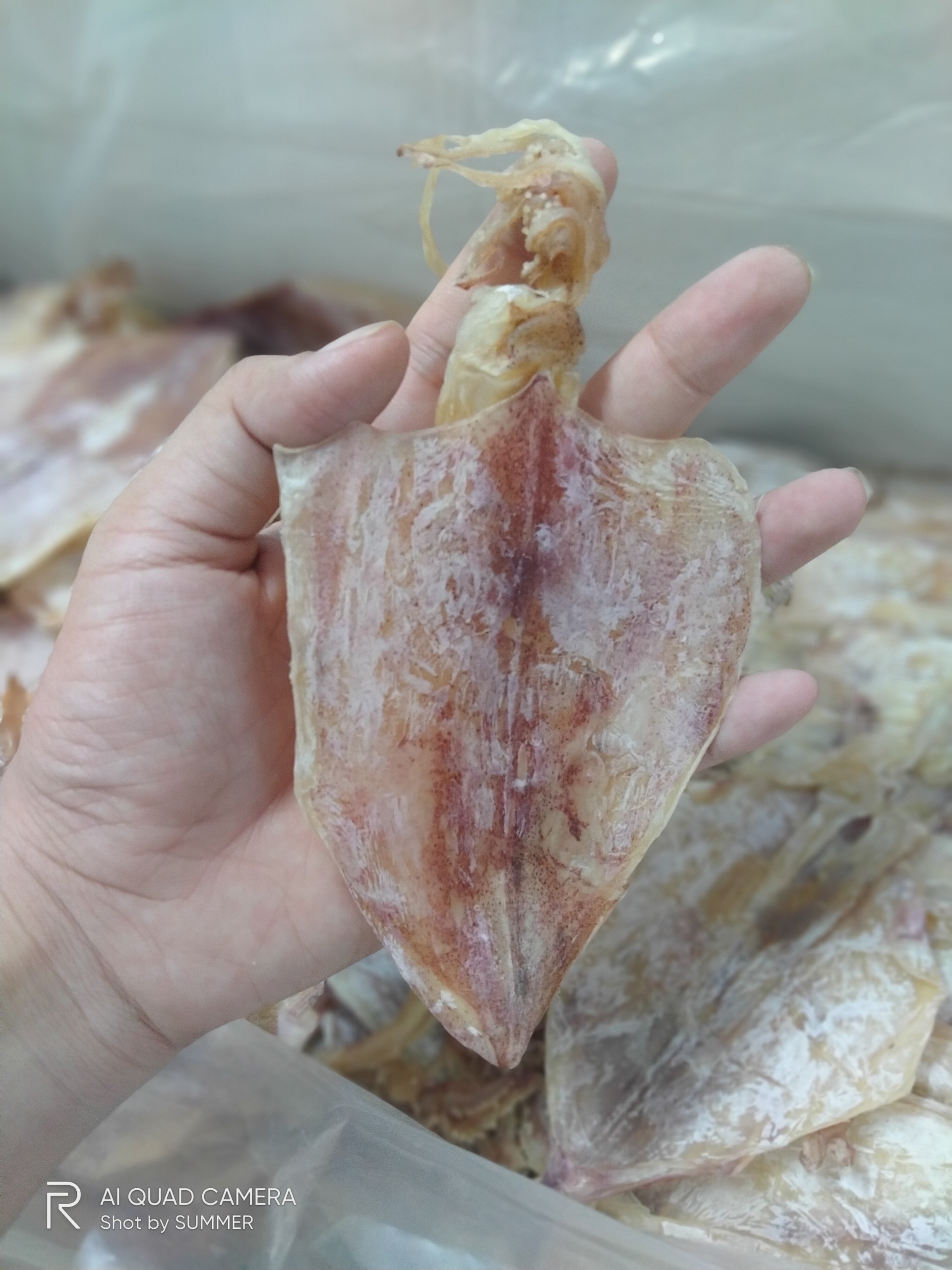 1kg KHÔ MỰC VŨNG TÀU DÀY MÌNH NGON NGỌT(110-130c)