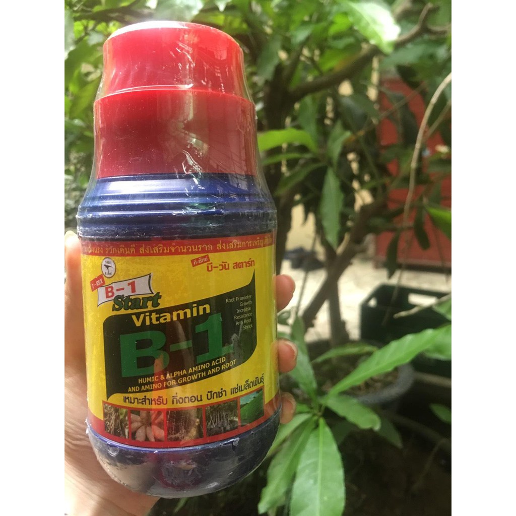 Vitamin b1 thái lan chai 500ml