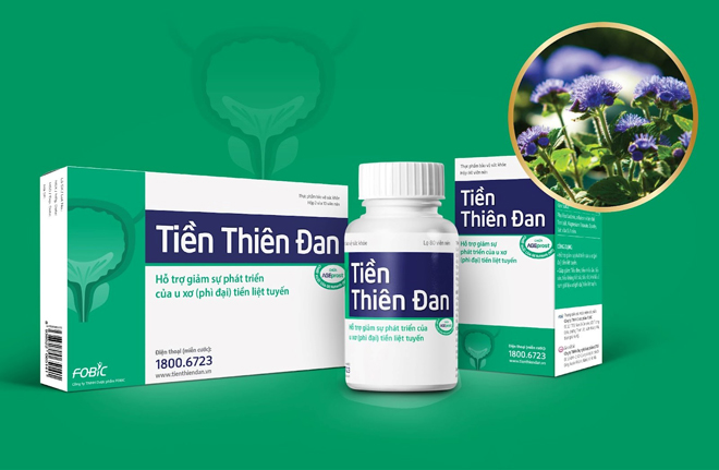 Tiền thiên đan Hỗ trợ u sơ, phì đại tiền liệt tuyến