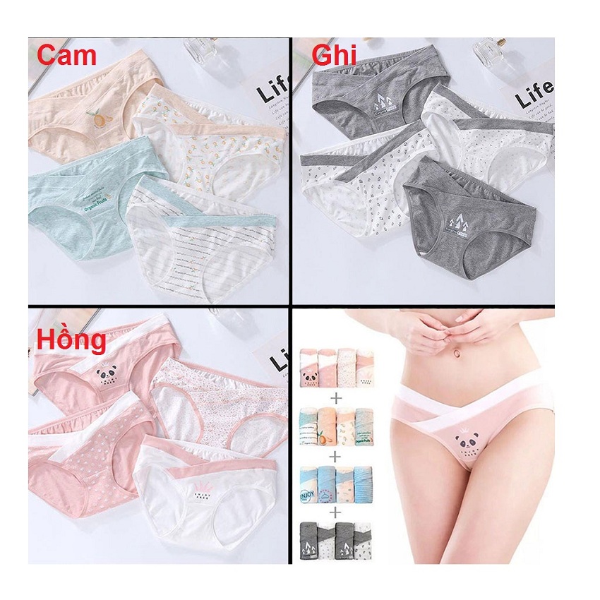 Quần lót bà bầu - Combo 4 cái - Cạp chéo - Cotton mềm mịn - thoải mái - an toàn - họa tiết dễ thương - Dùng để mặc sau sinh luôn các mon nhé
