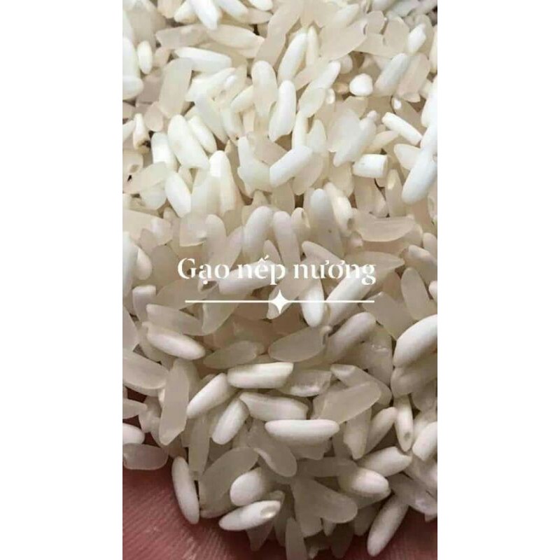 Gạo nếp nương điện biên