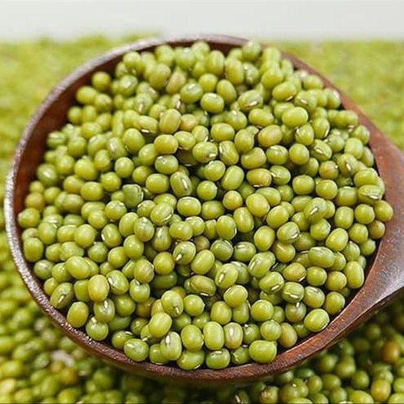 Đậu xanh (đỗ xanh) hạt giống thuần chủng 500g