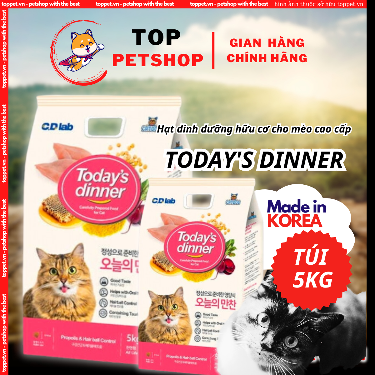 Hạt cho mèo TODAY DINNER. Hạt dinh dưỡng cho mèo mọi lứa tuổi xuất xứ Hàn