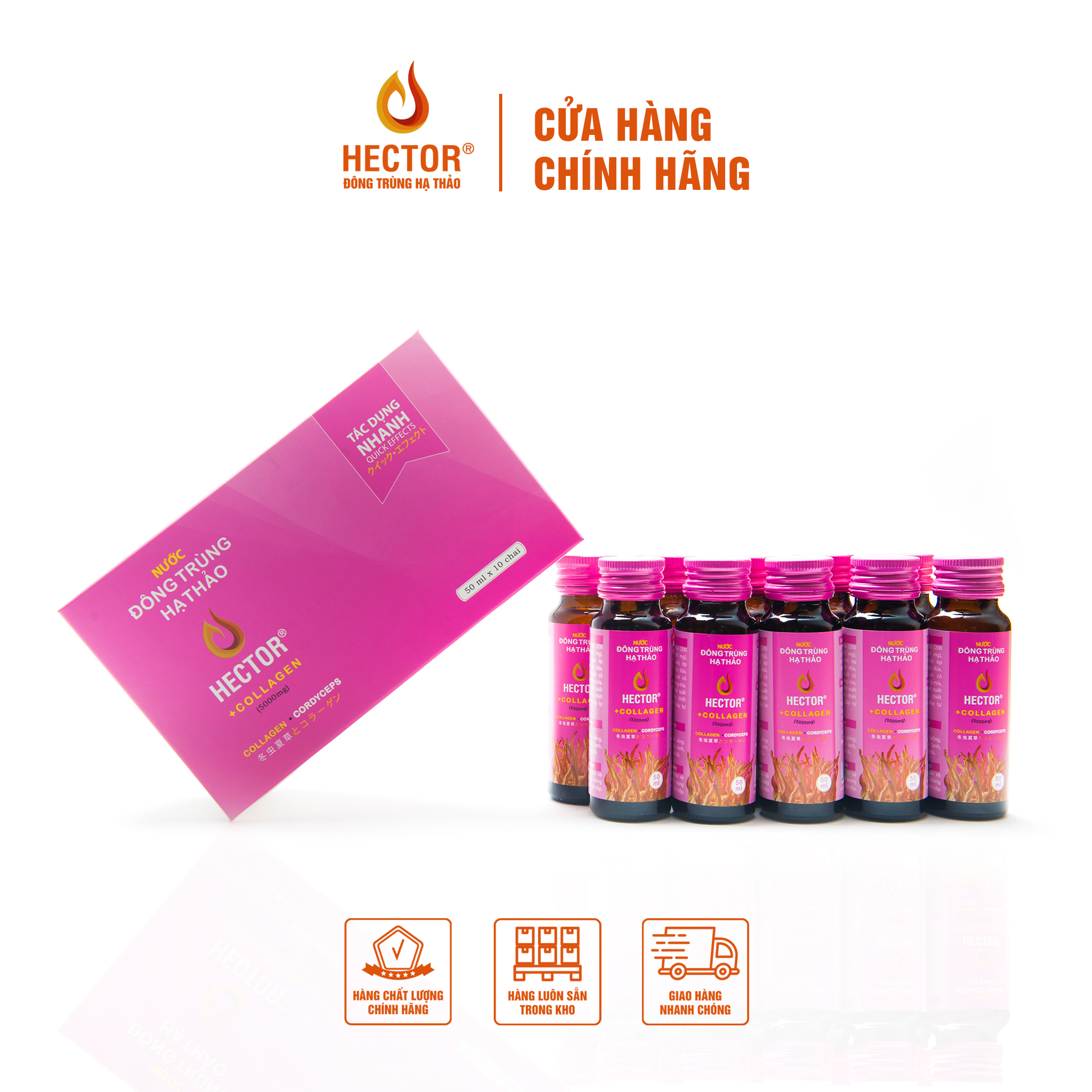 Hộp 10 chai nước uống đông trùng hạ thảo hector collagen chống lão hóa cấp ẩm