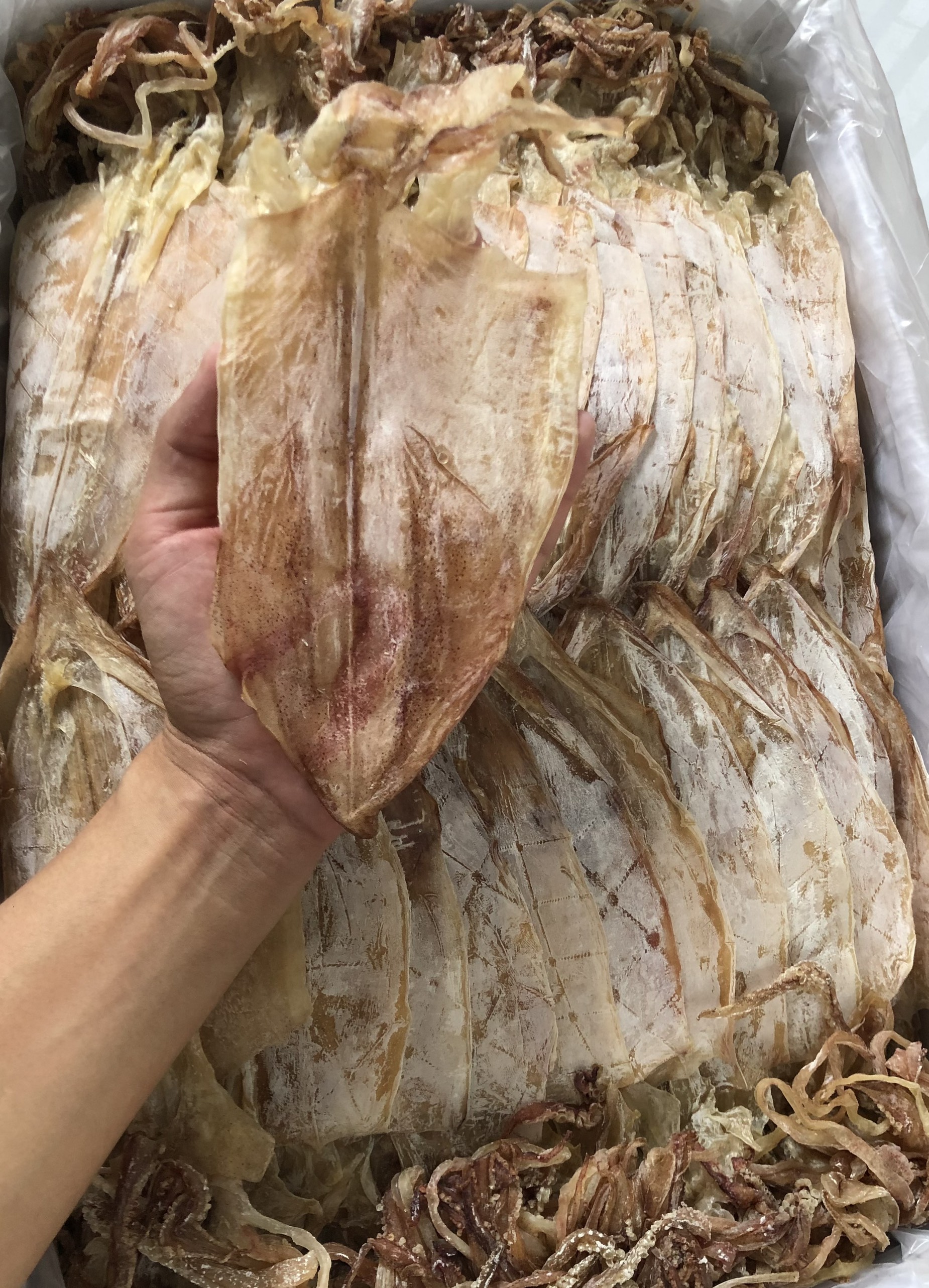 1kg mực khô khánh hòa loại 30-35 con