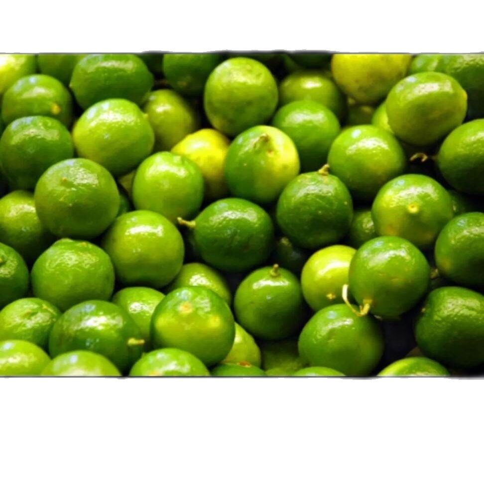 Chanh tươi mọng nước 1kg
