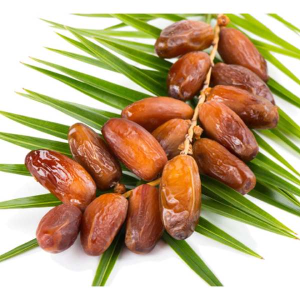 Dates are DRYING TREES 500GR