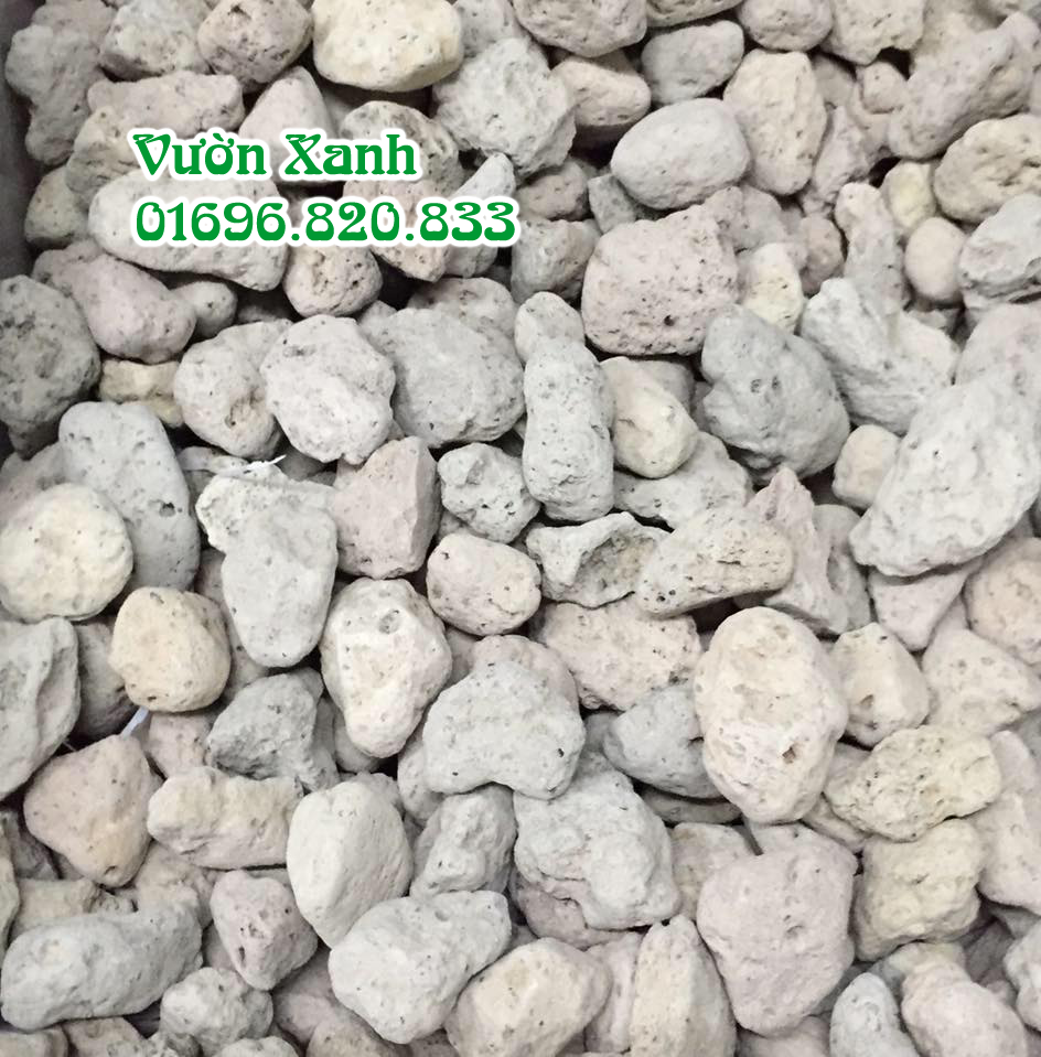 Đá Pumice ( Đá bọt đá núi lửa) gói 1kg dùng trộn giá thể trồng cây giúp giữ ẩm tốt, thoáng rễ, nhẹ