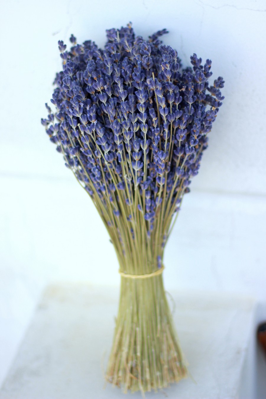 Bó hoa oải hương khô (lavender khô)