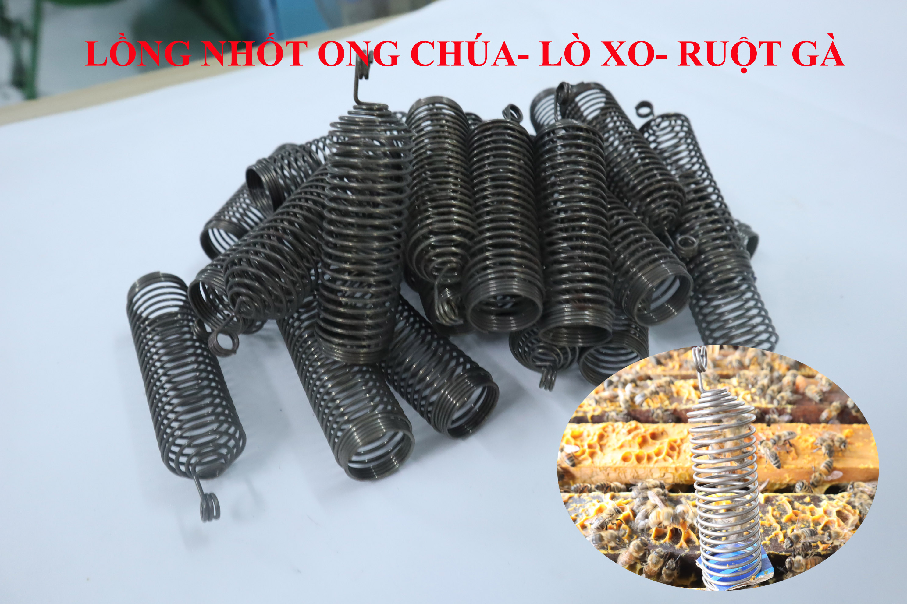 5 lồng nhốt ong chúa lò xo, ruột gà bằng thép siêu bền