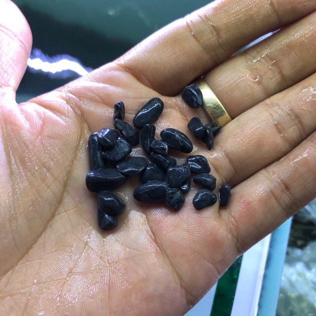 [HCM]Sỏi đen hồ cá  sỏi nền  sỏi nền hồ thuỷ sinh  sỏi nhỏ đen  sỏi trang trí hồ cá  sỏi đẹp rẻ