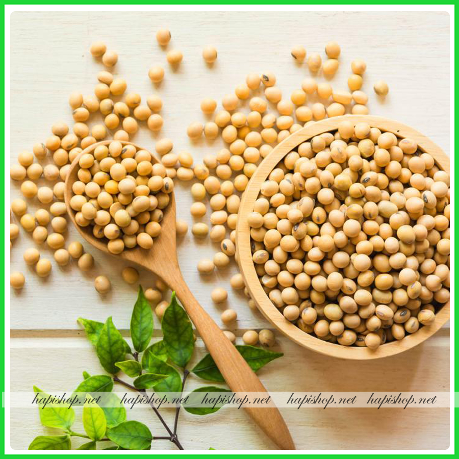 Hạt đậu nành, đậu tương vàng thơm thuần chủng - 500g