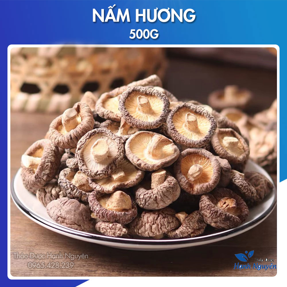 Nấm hương 500g - Thảo dược Hạnh Nguyên