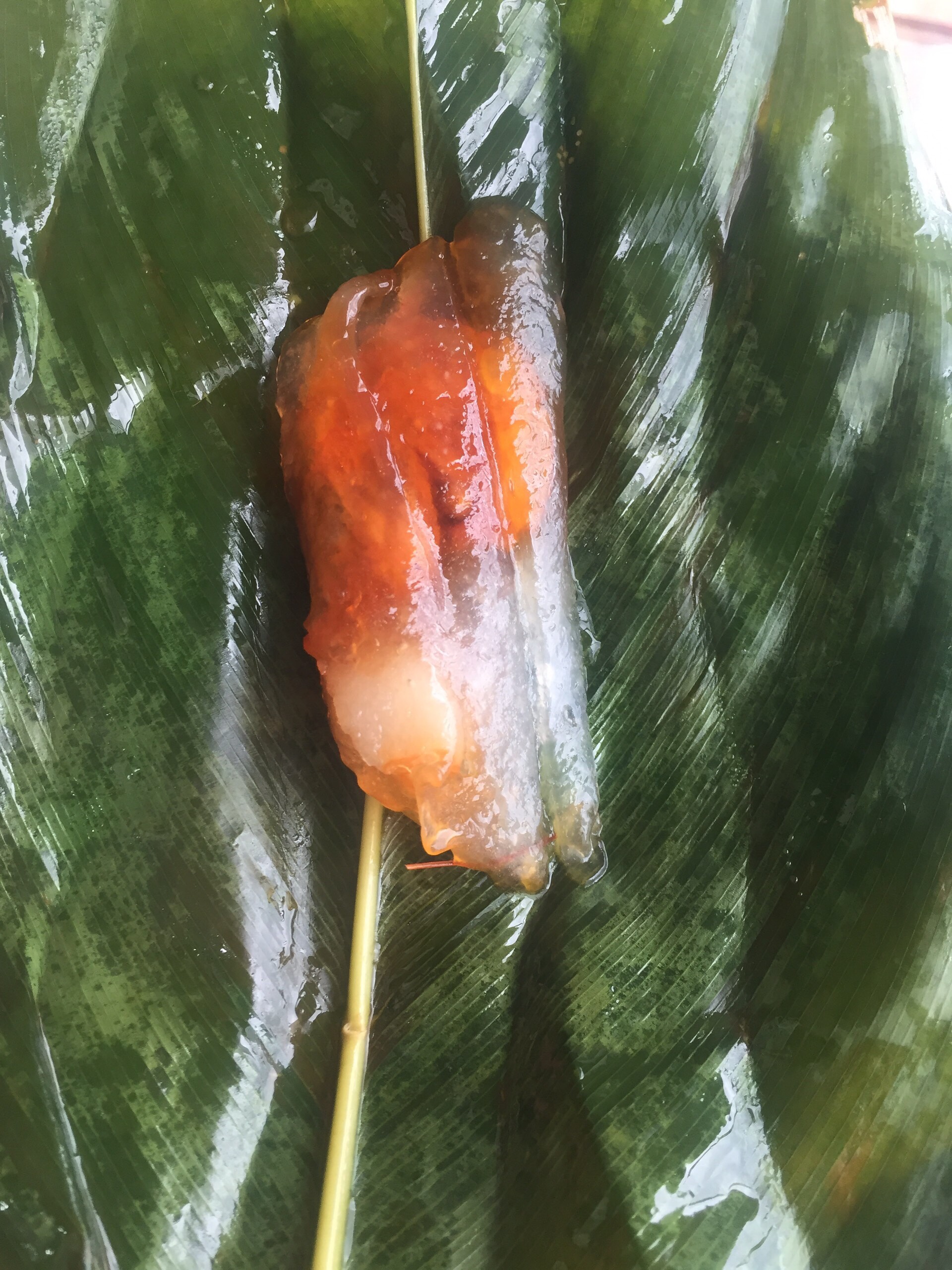 Bánh Lọc Huế