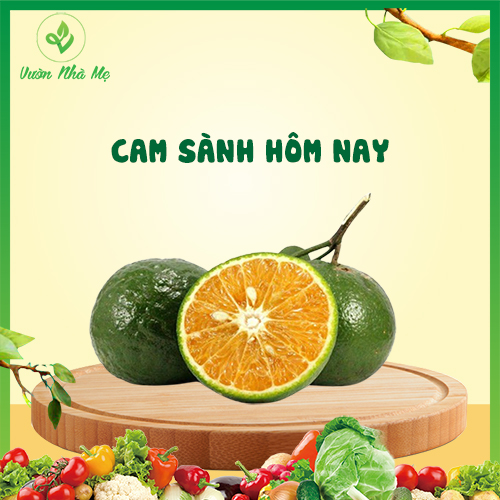 [Giao nội thành Hà Nội] Cam sành nguyên trái Vườn Nhà Mẹ - 1kg cam ngọt mọng nước - Hoa quả tươi, sạch, chuẩn VietGap